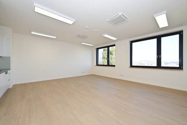 D1 6.4 Kancelář / Ateliér 46 m2