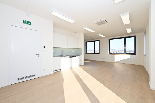 D1 6.5 Kancelář / Ateliér s balkonem 63 m2