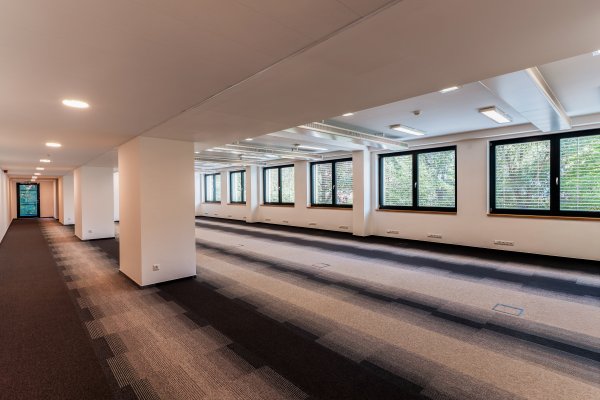 C II 2.03 Kancelář 500 m2 - Openspace